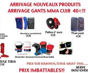 photo Boutique arts martiaux reunion La Bretagne 4349