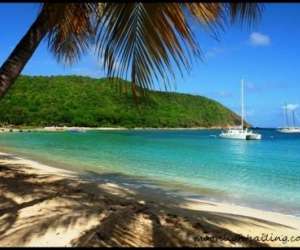 photo Cata kawai croisieres grenadines Les Trois Ilets 3834