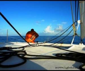 photo Cata kawai croisieres grenadines Les Trois Ilets 3837