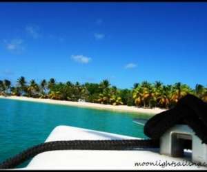 photo Cata kawai croisieres grenadines Les Trois Ilets 3839