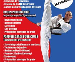photo Institut taekwondo runion St Denis 5192