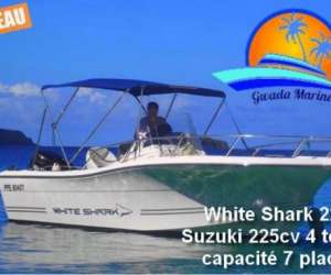 photo Gwada marine Basse Terre 5213