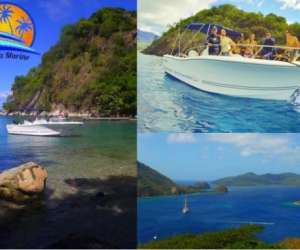 photo Gwada marine Basse Terre 5215