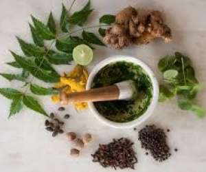photo Yayavara - yoga, ayurvda, massages thas et sonothrapie Le Moule 5301