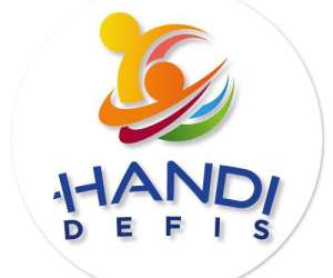 Handi Dfis