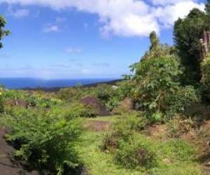 Le reiki usui en guadeloupe Le reiki usui en guadeloupe