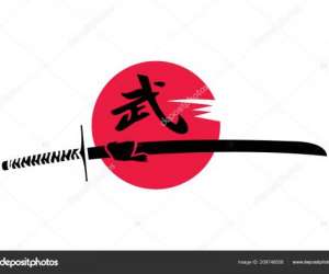 photo Aikibudo kenjutsu pi Petite Ile 5927