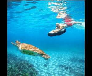 photo Caraibesgliss Pointe Noire 5958