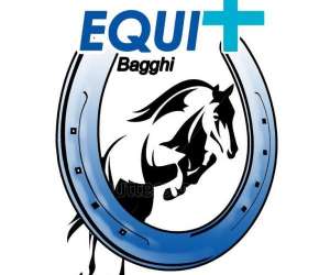 Equi  Plus Bagghi