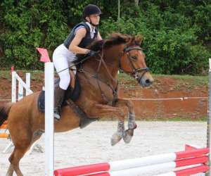 photo Equi  plus bagghi St Francois 6017