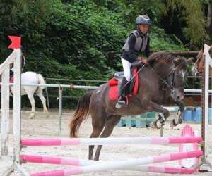 photo Equi  plus bagghi St Francois 6019