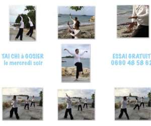 Tai Chi Song Long Gosier