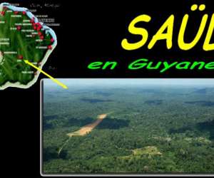 photo Les carbets du bord Saul 3025