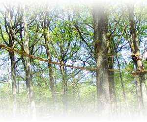 photo Loisirs en morvan - parc aventure des chtelaines Avallon 2324