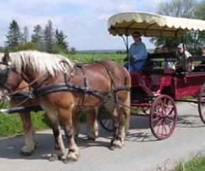 Attelages Des Bles D