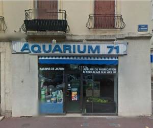 Aquarium 71