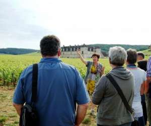 Clos De Bourgogne , Ateliers Et Balades Oenologiques Av