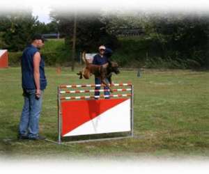 photo Centre canin de la valle de la creuse Couches 2623