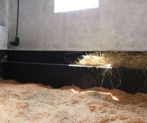 photo Luna's farm Montceau Les Mines 2649