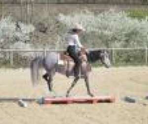 photo Luna's farm Montceau Les Mines 2651