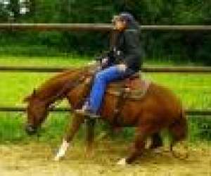 photo Luna's farm Montceau Les Mines 2652