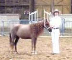 photo Luna's farm Montceau Les Mines 2653