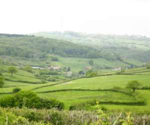 photo Luna's farm Montceau Les Mines 2654