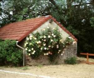 photo Vacances bourgogne - gites 'le clos marie' et 'le clos bressan' Mervans 3950