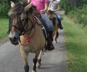 photo Cheval nature St Ythaire 3590