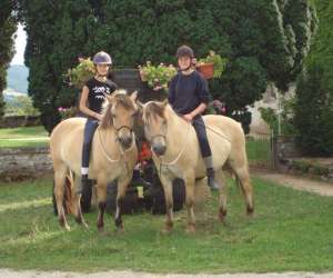 photo Cheval nature St Ythaire 3591