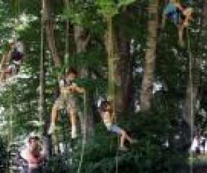 photo Grimpe d'arbre en morvan Larochemillay 3597