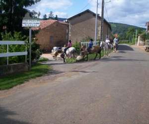 photo Elevage des burchres Aze 3681