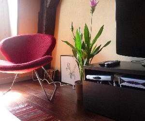 photo Location saisonnire le lodge  dijon Dijon 4226
