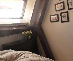 photo Location saisonnire le lodge  dijon Dijon 4231