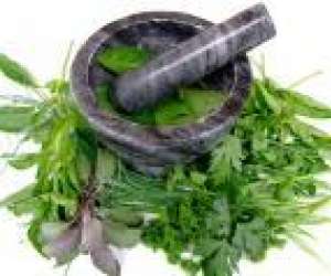 photo Marie-nolle bouissy reflexologie - naturopathie Tournus 4097