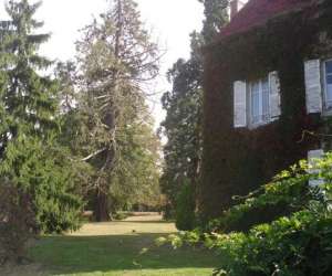 photo Chambres d'htes chteau de champendu Azy Le Vif 4408
