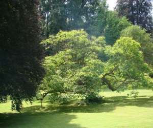 Abbaye De Beze, Son Parc Et Son Jardin De Fleurs 