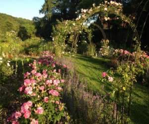 photo Abbaye de beze, son parc et son jardin de fleurs  Beze 5511