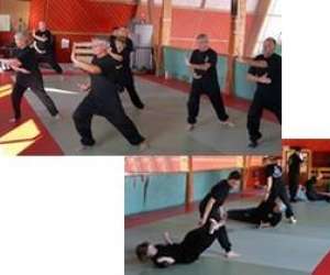 Shaolin Wushu