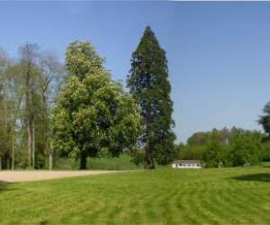 photo Domaine de chaligny St Hilaire En Morvan 5085