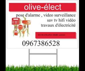 Olive-lect