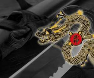 photo Arts martiaux - ninjutsu tenryu dojo cte-d'or  Talant 5554