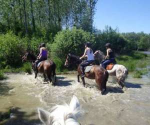 photo Poney club de saint-christophe St Christophe En Bresse 5611