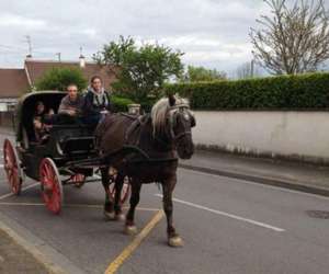 photo Poney club de saint-christophe St Christophe En Bresse 5612