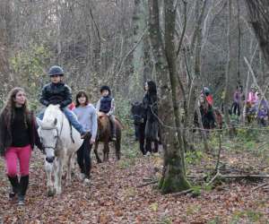 photo Poney club de saint-christophe St Christophe En Bresse 5613