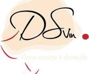 Dsvin - Votre Expert Vin