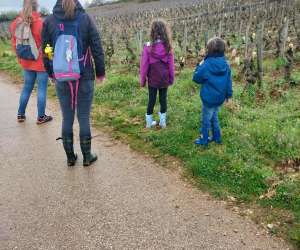 photo Sur les pas du vigneron Santenay 6100