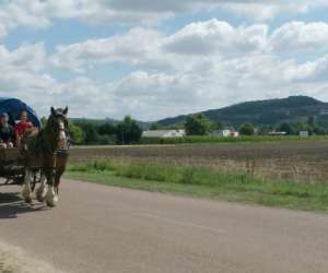 photo Poney club / centre questre du moulin Villaines Les Prevotes 3303