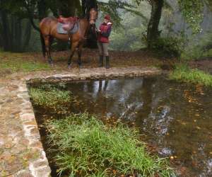 photo Bibracte St Leger Sous Beuvray 2793