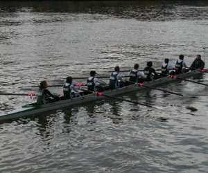 photo Alma rowing race Li�ge 5390